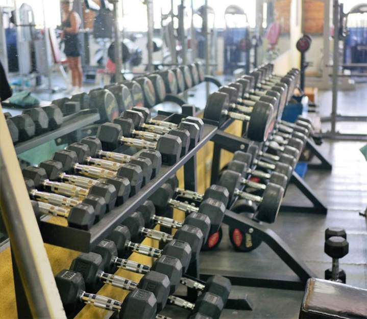 Haltères pour musculation à Riom